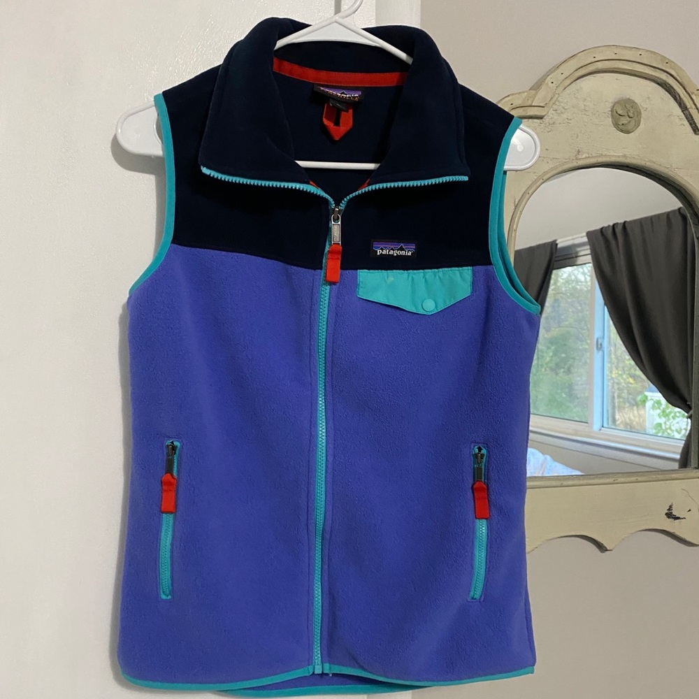 Patagonia Synchilla Fleece Vest